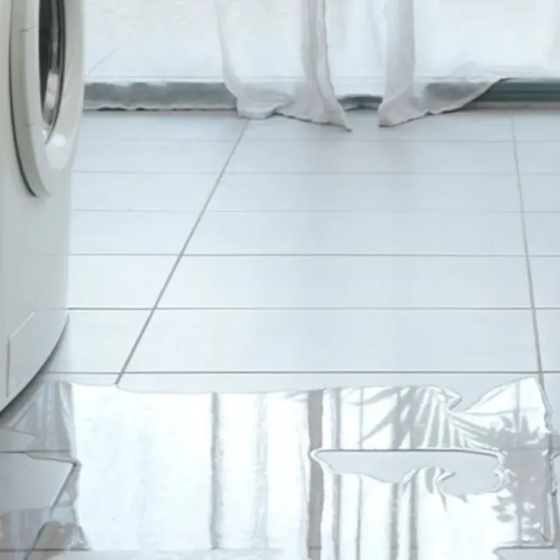 Appliance Leak Cleanup in Beecher, IL