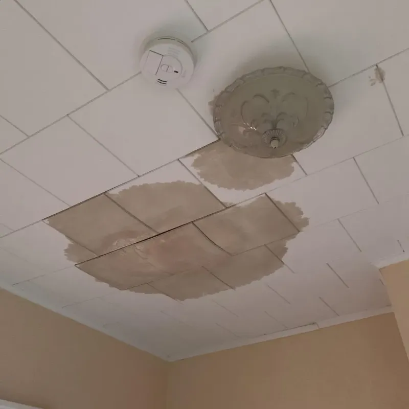 Ceiling Water Damage Repair in Beecher, IL